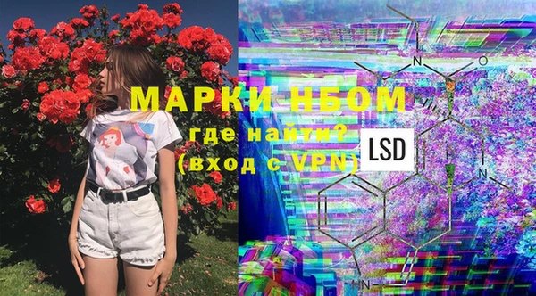 дмт Янаул