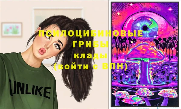 соль ск Яранск