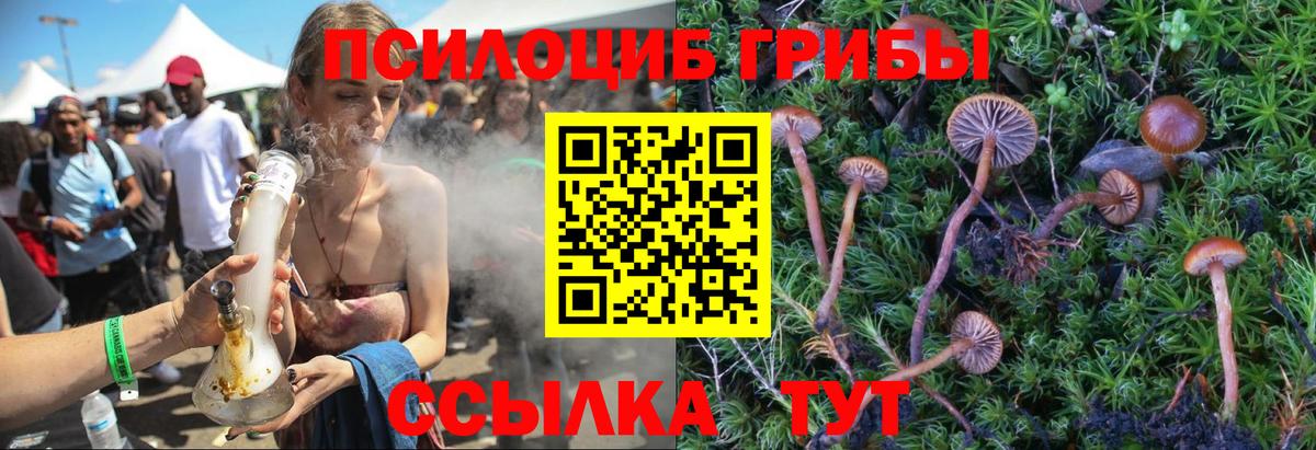 Галлюциногенные грибы Magic Shrooms Сызрань