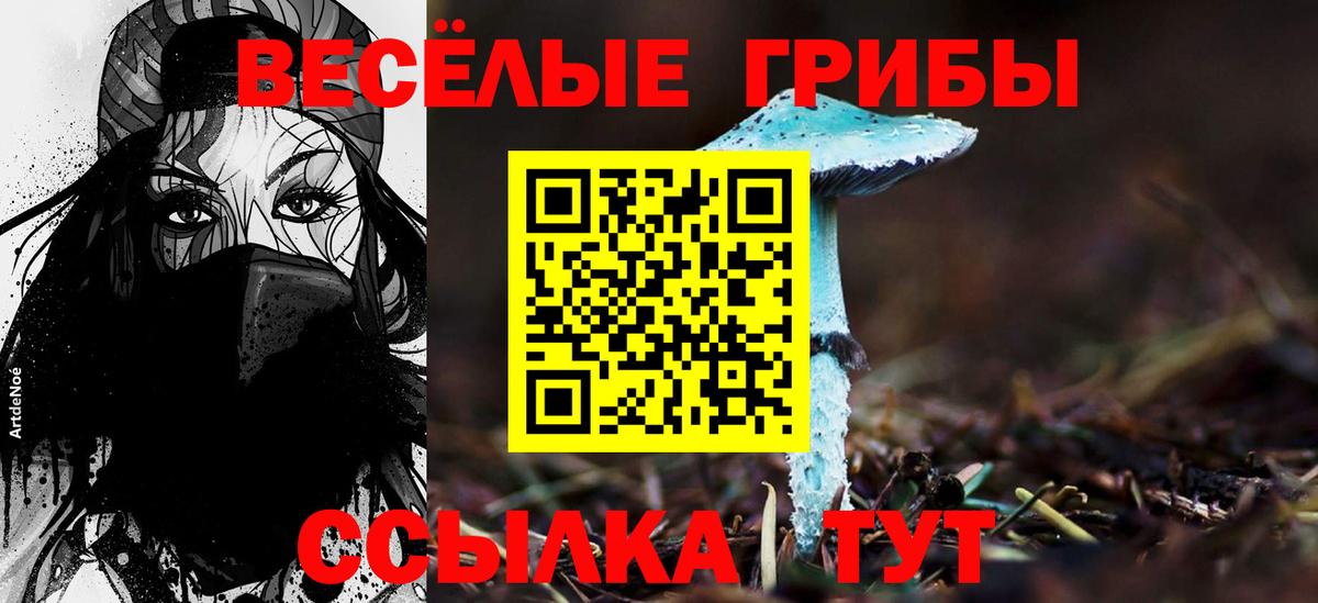 Галлюциногенные грибы Psilocybine cubensis  Вход с VPN  Сызрань  Псилоцибиновые грибы ЛСД 