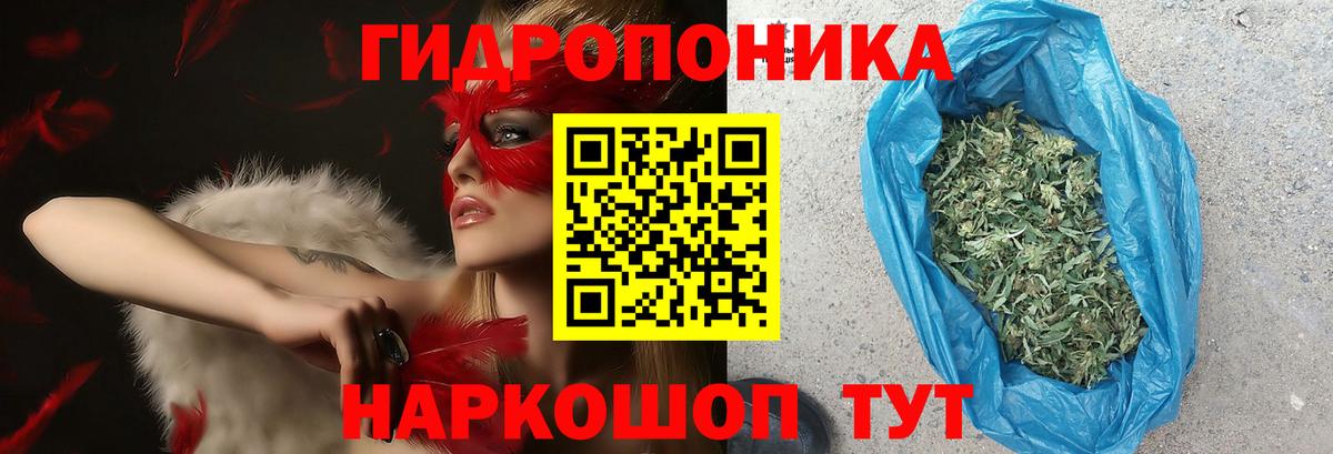 Бошки марихуана план Сызрань